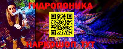 амф Камышлов
