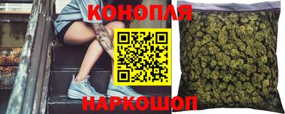 амф Камышлов