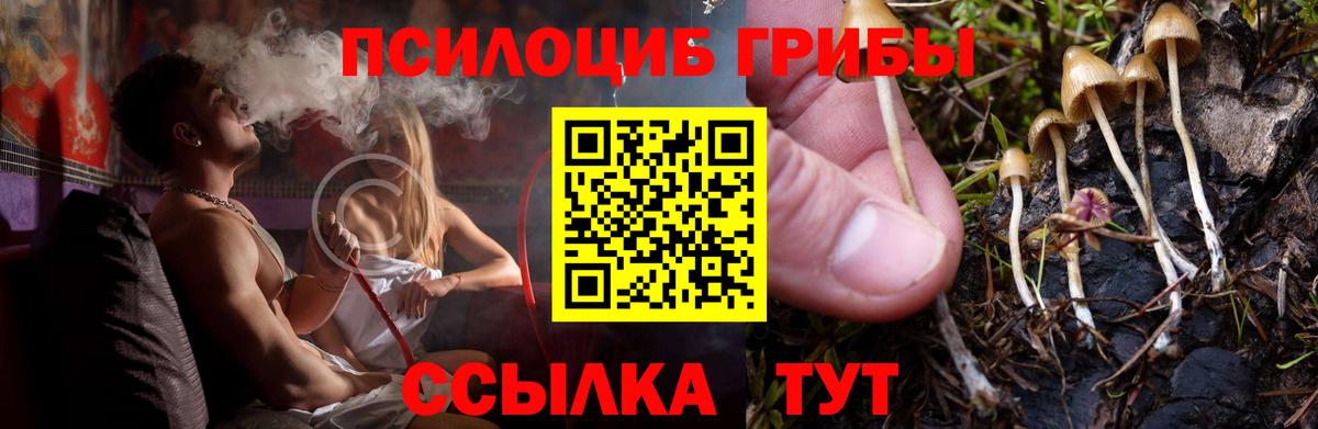 Псилоцибиновые грибы Psilocybe  Вход с VPN  Удомля 