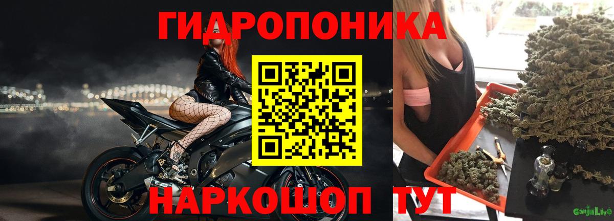 Бутират Удомля